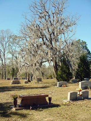 Waverly Cemetery TX Spanish Moss
