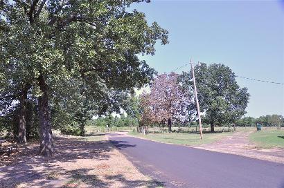 Piney Texas Country Road