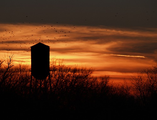 Pitstburg TX sunset