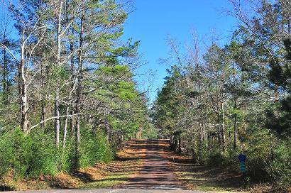 Pone TX Country Road