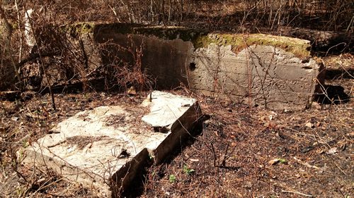 Ratcliff TX - Four C Mill  ruins