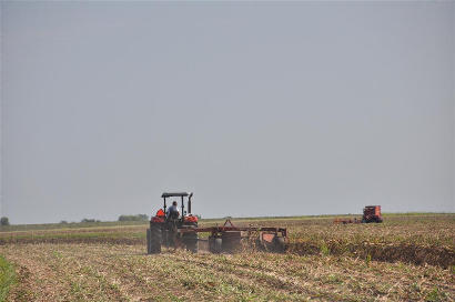 Rugby TX Farming