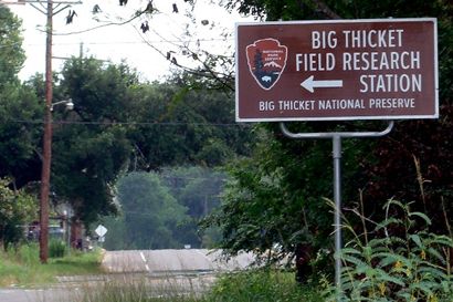 Big Thicket National Preserve