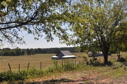 Stewart TX Rural Scene