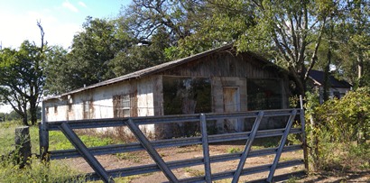 Stormville TX , Wood County