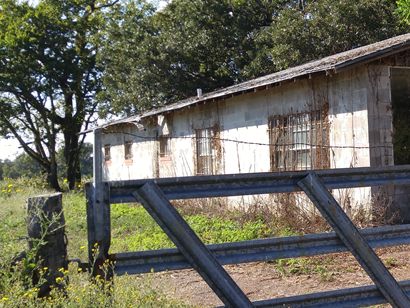 Stormville TX , Wood County