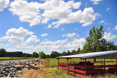 Cass County TX  - Turkey  Creek  Texas