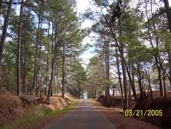 East Texas county road behind Weeping Mary Texas