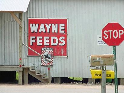 Willis Texas feed store