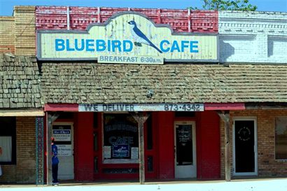 Wills Point Texas  Bluebird  Cafe