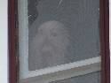 Downes-Aldrich Haunted House