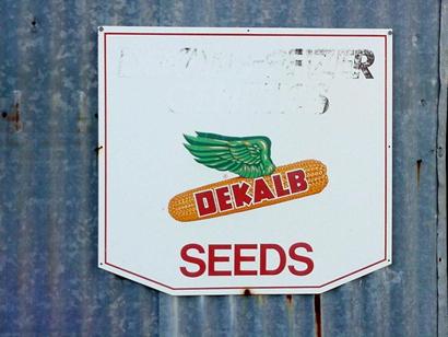 DeWitt County TX - Dekalb Corn Seed Sign