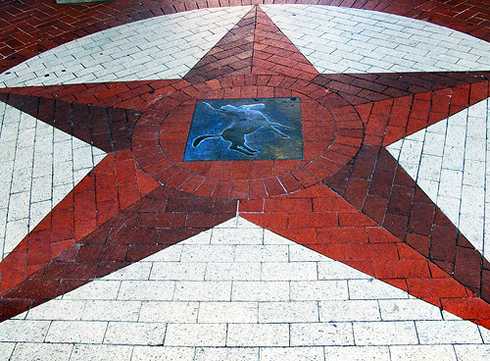 Fort Worth Texas brick lone star