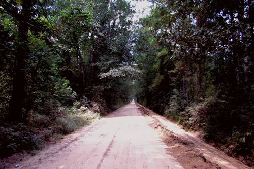 Ghost road in daylight