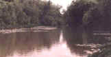 Guadalupe River at Cost near Gonzales