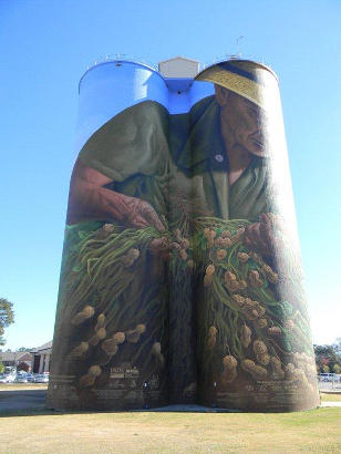 Colquit, Georgia - Birdsong Silo Mural Side Facing Townsquare