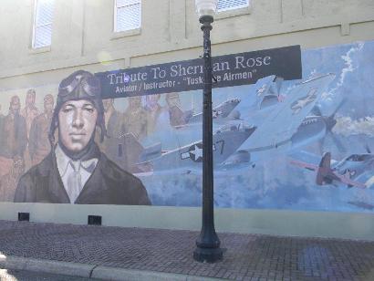 Dothan Alabama - Mural Aviator Sherman Rose
