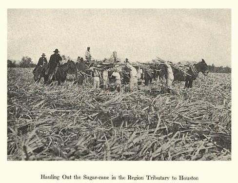 Houston TX - Hauling sugar-cane