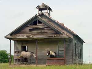 Horses in old schoolhouse near Elk City, Texas