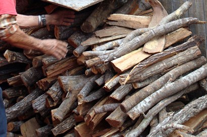 Alamo TX Willies BBQ Mesquite Wood Pile