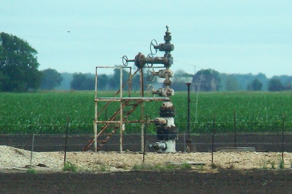 El Campo, TX - Typical Christmas Tree