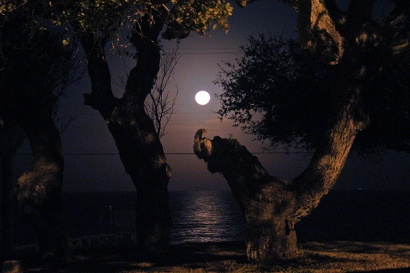 Fulton TX Aransas Bay Moon