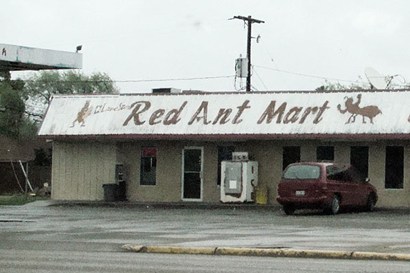 Progreso Texas Red Ant drive in grocer near school