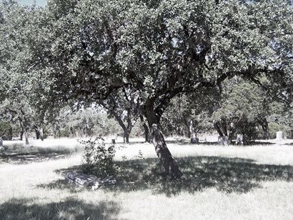 TX - Rio Frio Cemetery