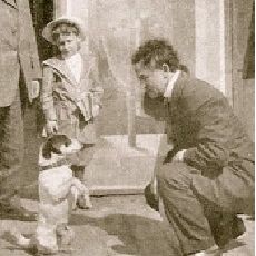 Houdini Dog