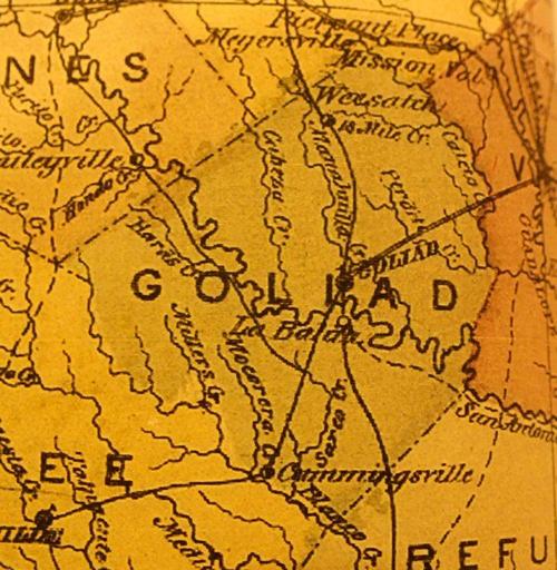 TX Goliad County 1874Map