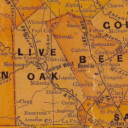 Live Oak County TX map