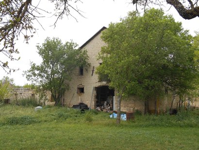 TX - Old horse barn at Morris Ranch