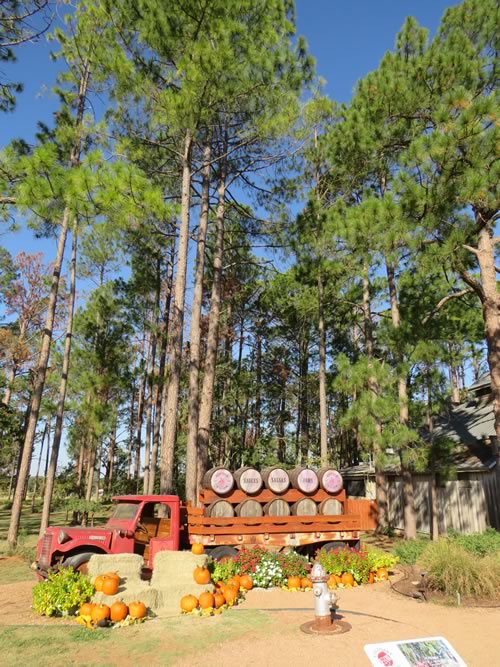 Fredericksburg TX - Pine tees on on US Highway 87 South