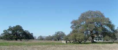 Sam Houston Oak McClure-Braches House 