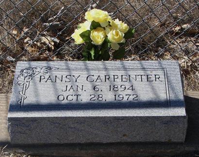 Pansy Carpenter Grave Medina TX Oak Rest Cemetery