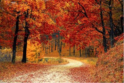 Autumn 