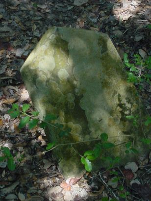Overgrown tombstone