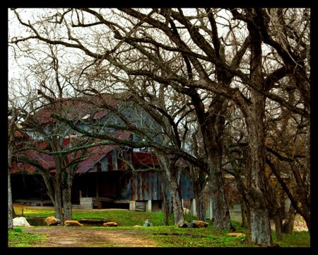 Luling Texas Zedler's Mills  largest building