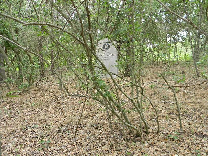 Bastrop County - Smithville TX - Henry Mordorff Centennial Marker