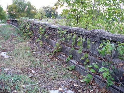  - BexarCountyTexasBergsMillBridgeVegetation05VitalyAltoi2