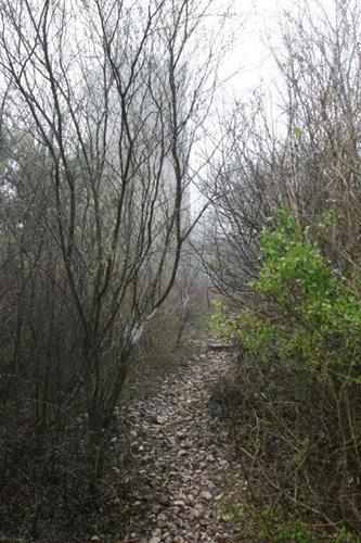 Trail leading to Comanche Lookout, San Antonio, Texas