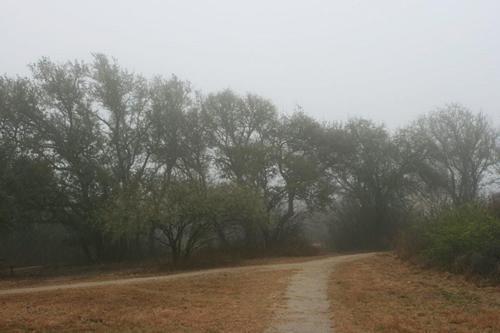 Comanche Lookout hiking trail, San Antonio, Texas