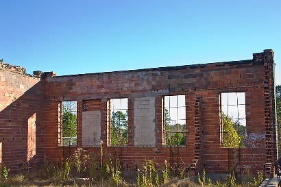 Gregg County TX - Shiloh School ruins