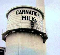 Carnation Milk water tower, Schulenburg