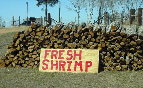 Fresh Shrimp sign