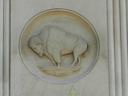 TX - Buffalo, a nickel on Benavides Bank