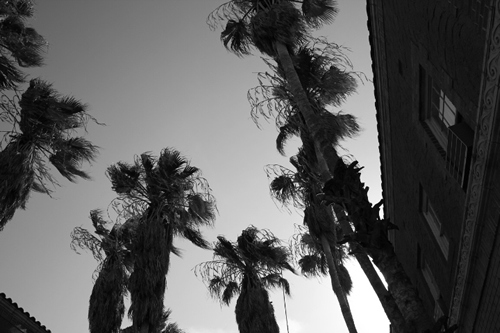 Catarina TX -  Catarina  Hotel Courtyard