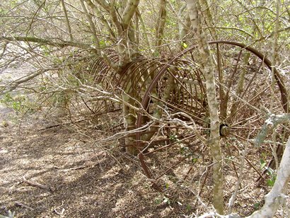 Clareville TX - Old Hay Rake on BA Matheson Farm