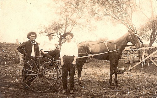 Clareville Texas old photo - 3 men & buggy on farm - Jim Naylor, A.M. Handly,JR. and Effert Uzzell