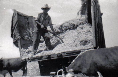 Dewee TX  - raking hay